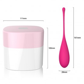 Iegurņa Grīdas Trenažieris FemmeFit Pelvic FeelzToys (6 pcs)
