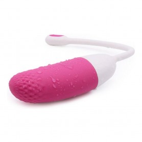 Vibrators Egg Magic Motion
