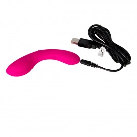 Vibrators Swan The Mini
