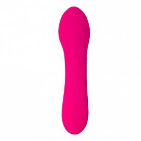 Vibrators Swan The Mini