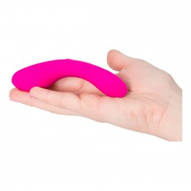 Vibrators Swan The Mini