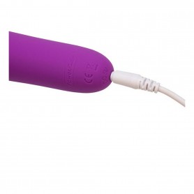 Vibrators Destiny Rechargeable Wand Purple