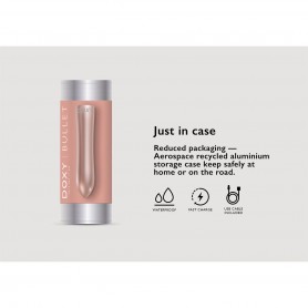 Bullet Vibrator Doxy Silver