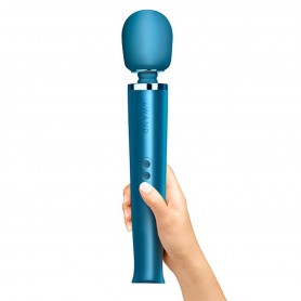 PalmPower-Recharge Wand Massager Le Wand Pacific Blue