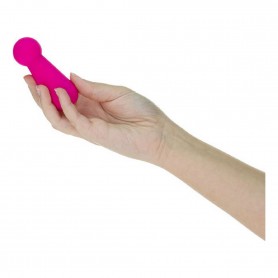 Vibrators Swan The Mini Pawn