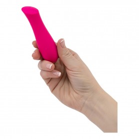 Vibrators Swan The Mini Rose