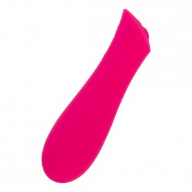 Vibrators Swan The Mini Rose
