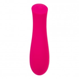 Vibrators Swan The Mini Rose