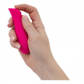 Vibrators Swan The Mini Rose