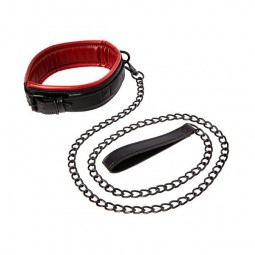 Bondage Collar with Chain Sportsheets 80059