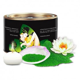 Tesori del Mare Shunga 9067027 (600 g) Loto Organica